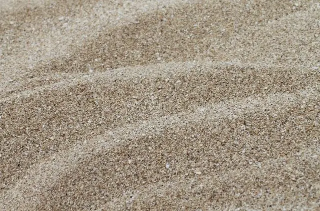 Can I Use Regular Sand Between Pavers?