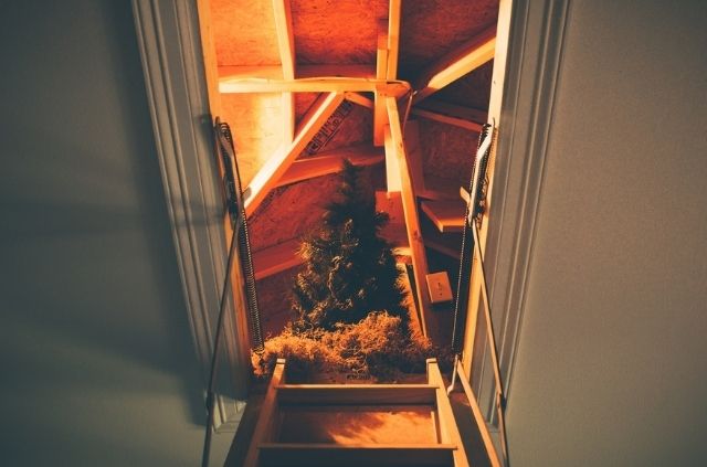 attic mold remediation methods
