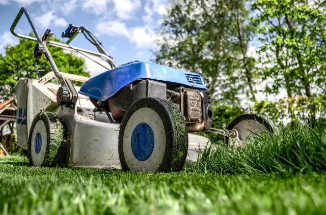 Should You Mow Before Aerating?