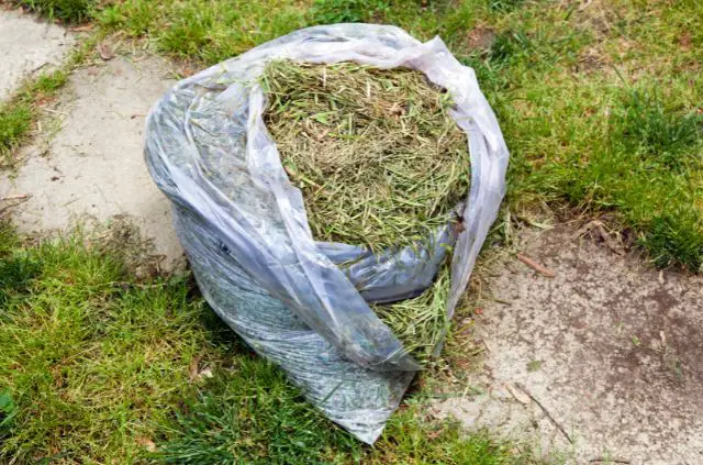 Can I Throw Grass Clippings in the Garbage?