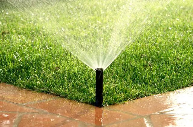 Should You Water After Mowing?