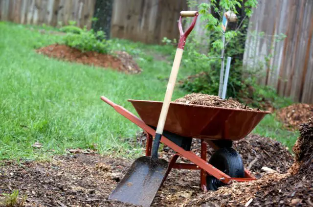 What to Do with Old Mulch: A Guide